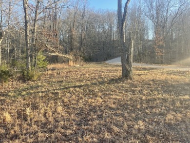 Beautiful 3/4 Acre Lake View Lake Cumberland Building Lot - photo 7
