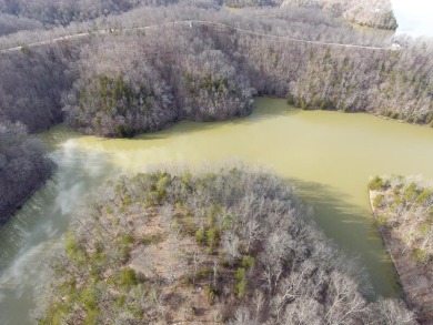 Beautiful 3/4 Acre Lake View Lake Cumberland Building Lot - photo 9