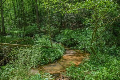 Escape to the North Georgia mountains with this rare 32.2-acre - photo 12
