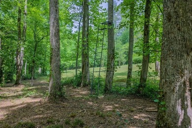Escape to the North Georgia mountains with this rare 32.2-acre - photo 15