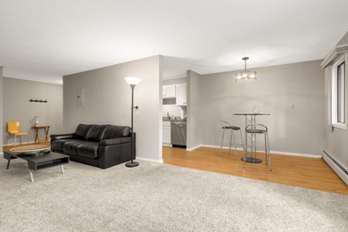 Maintenance-free lake living at its best! This spacious 2BR/2BA - photo 15