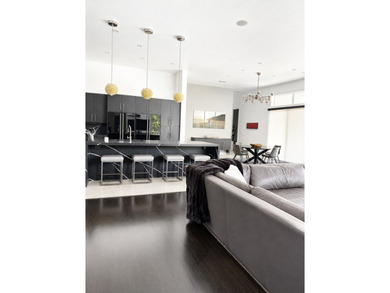Experience luxury living in this stunning contemporary home - photo 4