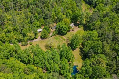 Escape to the North Georgia mountains with this rare 32.2-acre - photo 42