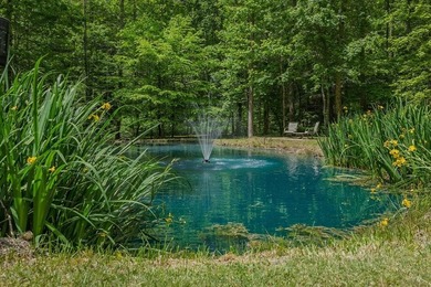 Escape to the North Georgia mountains with this rare 32.2-acre - photo 45