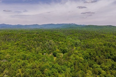 Escape to the North Georgia mountains with this rare 32.2-acre - photo 47