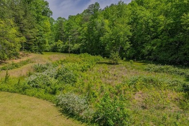 Escape to the North Georgia mountains with this rare 32.2-acre - photo 49