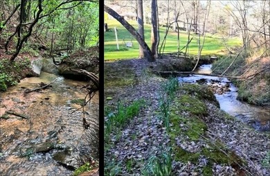 Escape to the North Georgia mountains with this rare 32.2-acre - photo 50