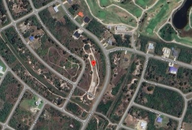 FANTASTIC OVERSIZED lot located on in Port Charlotte Sec 95. NO - photo 2