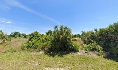 FANTASTIC OVERSIZED lot located on in Port Charlotte Sec 95. NO - photo 3