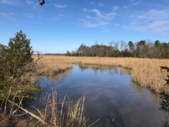 Mattaponi River Lot For Sale in Shacklefords Virginia