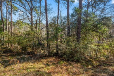 Waterfront Lot in Gated Lake Livingston Community. - photo 19