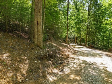 REDUCED PRICE!! Introducing Dryden Ridge-a brand-new, premier - photo 2
