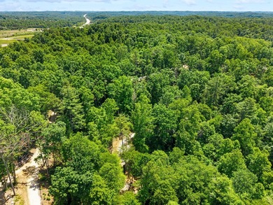 REDUCED PRICE!! Introducing Dryden Ridge-a brand-new, premier - photo 5