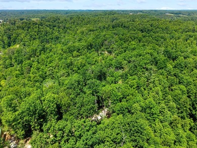 REDUCED PRICE!! Introducing Dryden Ridge-a brand-new, premier - photo 7