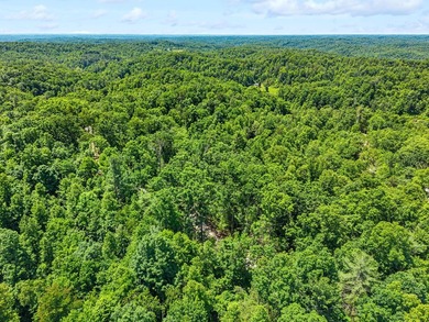 REDUCED PRICE!! Introducing Dryden Ridge-a brand-new, premier - photo 8