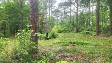 A RARE FIND, DON'T MISS YOUR OPPORTUNITY TO OWN 9.26 acres in a - photo 14