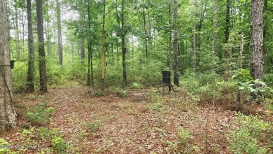 A RARE FIND, DON'T MISS YOUR OPPORTUNITY TO OWN 9.26 acres in a - photo 15