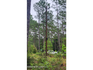 A RARE FIND, DON'T MISS YOUR OPPORTUNITY TO OWN 9.26 acres in a - photo 17