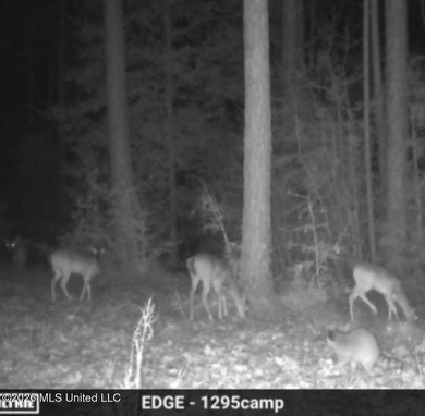 A RARE FIND, DON'T MISS YOUR OPPORTUNITY TO OWN 9.26 acres in a - photo 19