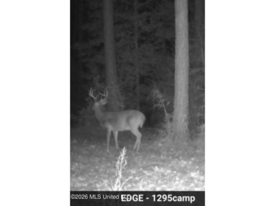 A RARE FIND, DON'T MISS YOUR OPPORTUNITY TO OWN 9.26 acres in a - photo 22