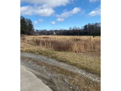 Toccoa River Acreage For Sale in Blue Ridge Georgia