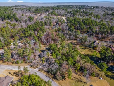 Waterfront Lot in Gated Lake Livingston Community. - photo 7
