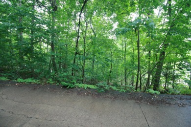 Lake Lot For Sale in Harrison, Tennessee