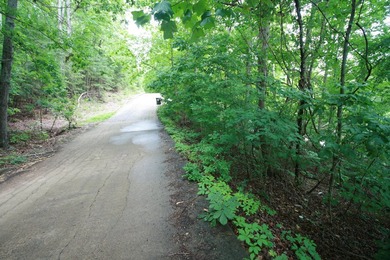 YEAR ROUND WATER - PRIME WATERFRONT LOT...Private setting - photo 2
