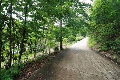 YEAR ROUND WATER - PRIME WATERFRONT LOT...Private setting - photo 3