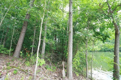 YEAR ROUND WATER - PRIME WATERFRONT LOT...Private setting - photo 4