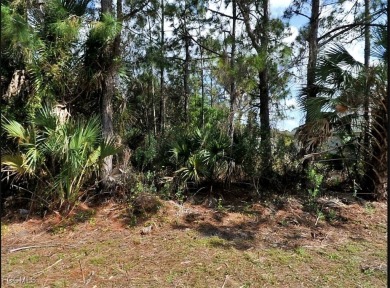 Northport Waterway Lakes and Canals Lot For Sale in North Port Florida