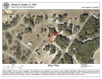 Lake Lot For Sale in Ocklawaha, Florida