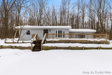 (private lake, pond, creek) Home Sale Pending in Stanton Michigan