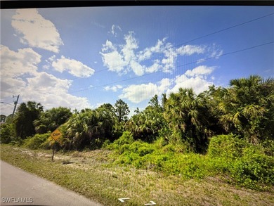 Lehigh Acres Area Lot Sale Pending in Lehigh Acres Florida