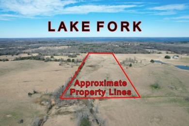 Lake Acreage For Sale in Alba, Texas