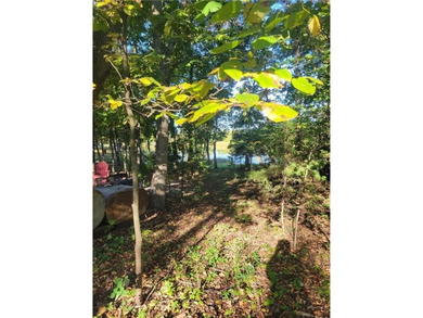 Linn Valley Lakes Lot For Sale in Linn Valley Kansas