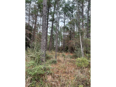 Lake Sam Rayburn  Lot For Sale in Brookeland Texas
