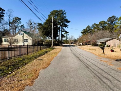Ideally situated just south of Historic Georgetown, this classic - photo 8