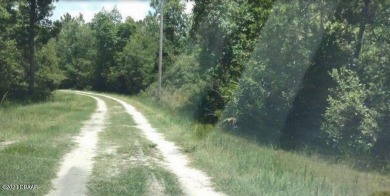 Lake George Lot For Sale in Pierson Florida