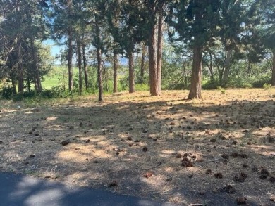 Lake Lot For Sale in Klamath Falls, Oregon