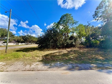 Lehigh Acres Area Lot For Sale in Lehigh Acres Florida