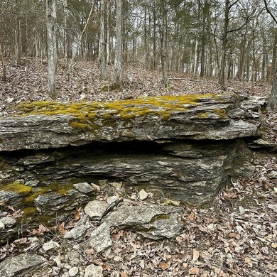 (private lake, pond, creek) Acreage For Sale in Ash Flat Arkansas