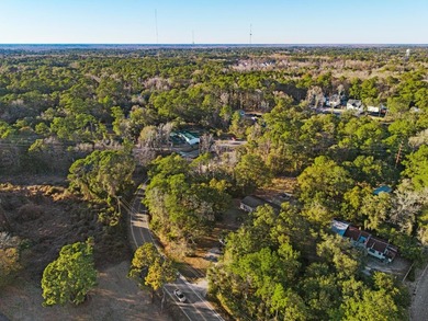 Discover a rare 1.16-acre residential lot on Petigru Drive in - photo 1