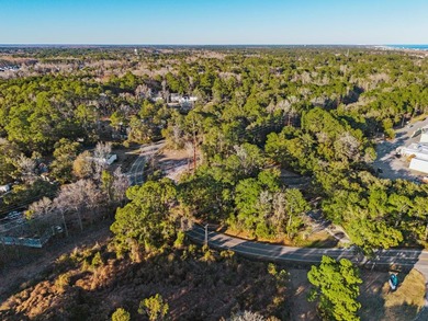 Discover a rare 1.16-acre residential lot on Petigru Drive in - photo 3