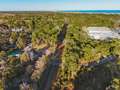 Discover a rare 1.16-acre residential lot on Petigru Drive in - photo 4