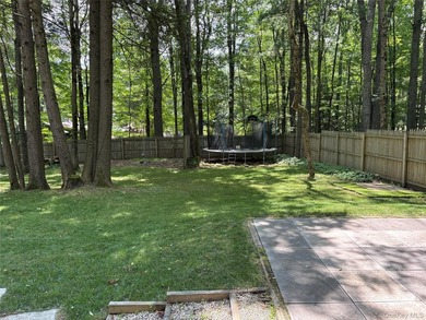 Charming Smallwood cabin offering lake rights and rare extra - photo 4