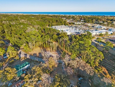 Discover a rare 1.16-acre residential lot on Petigru Drive in - photo 5