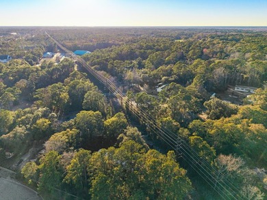 Discover a rare 1.16-acre residential lot on Petigru Drive in - photo 9