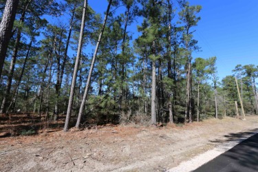 Lightly wooded lot in restricted Rayburn Country with a Lake Sam - Lake Lot For Sale in Brookeland, Texas