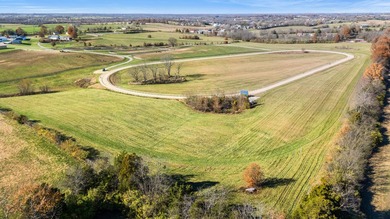Welcome to an exceptional opportunity to own a well-appointed - photo 6